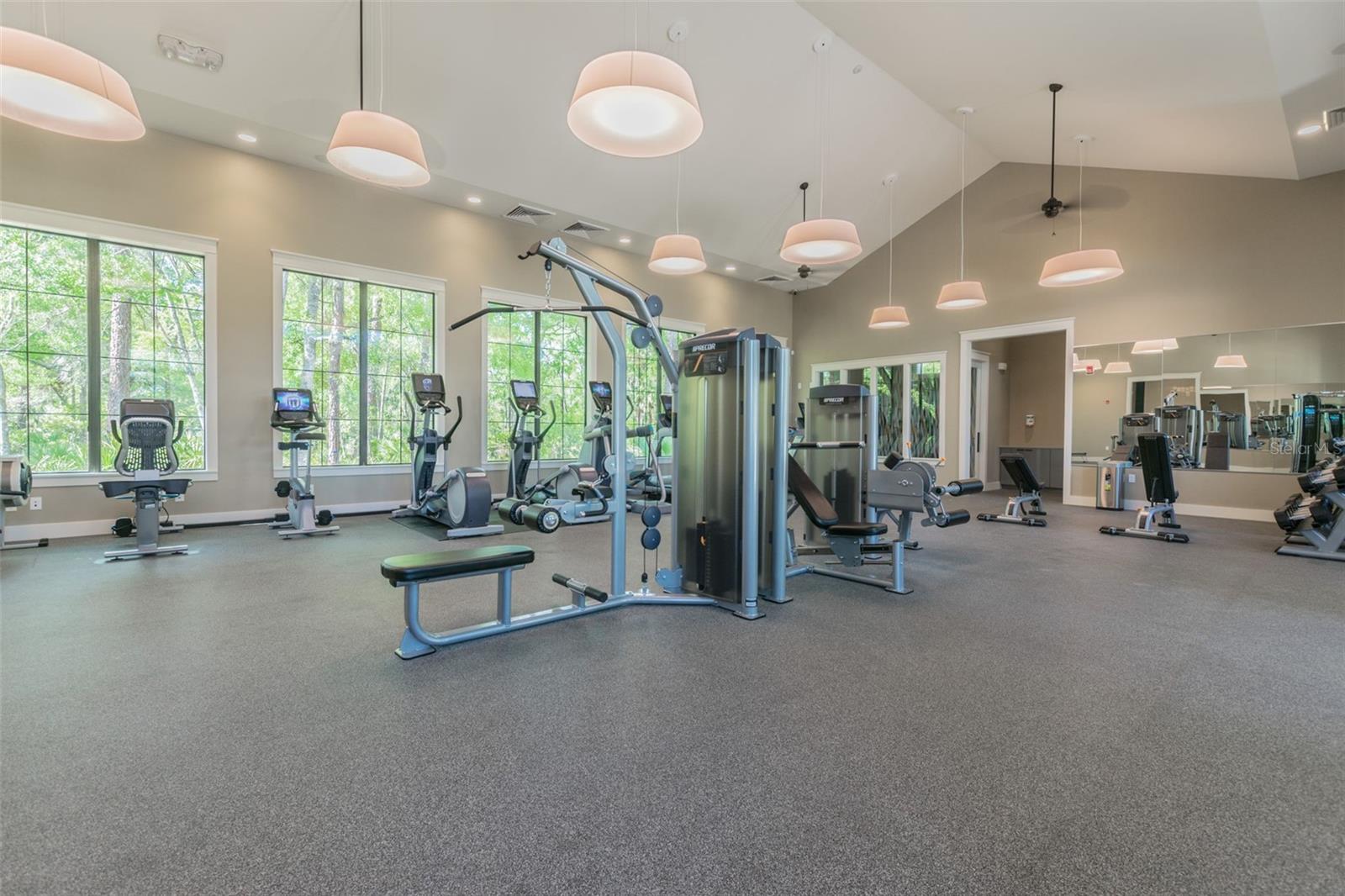 16884 FULL SUN ALY, LAND O LAKES, FL, 34638