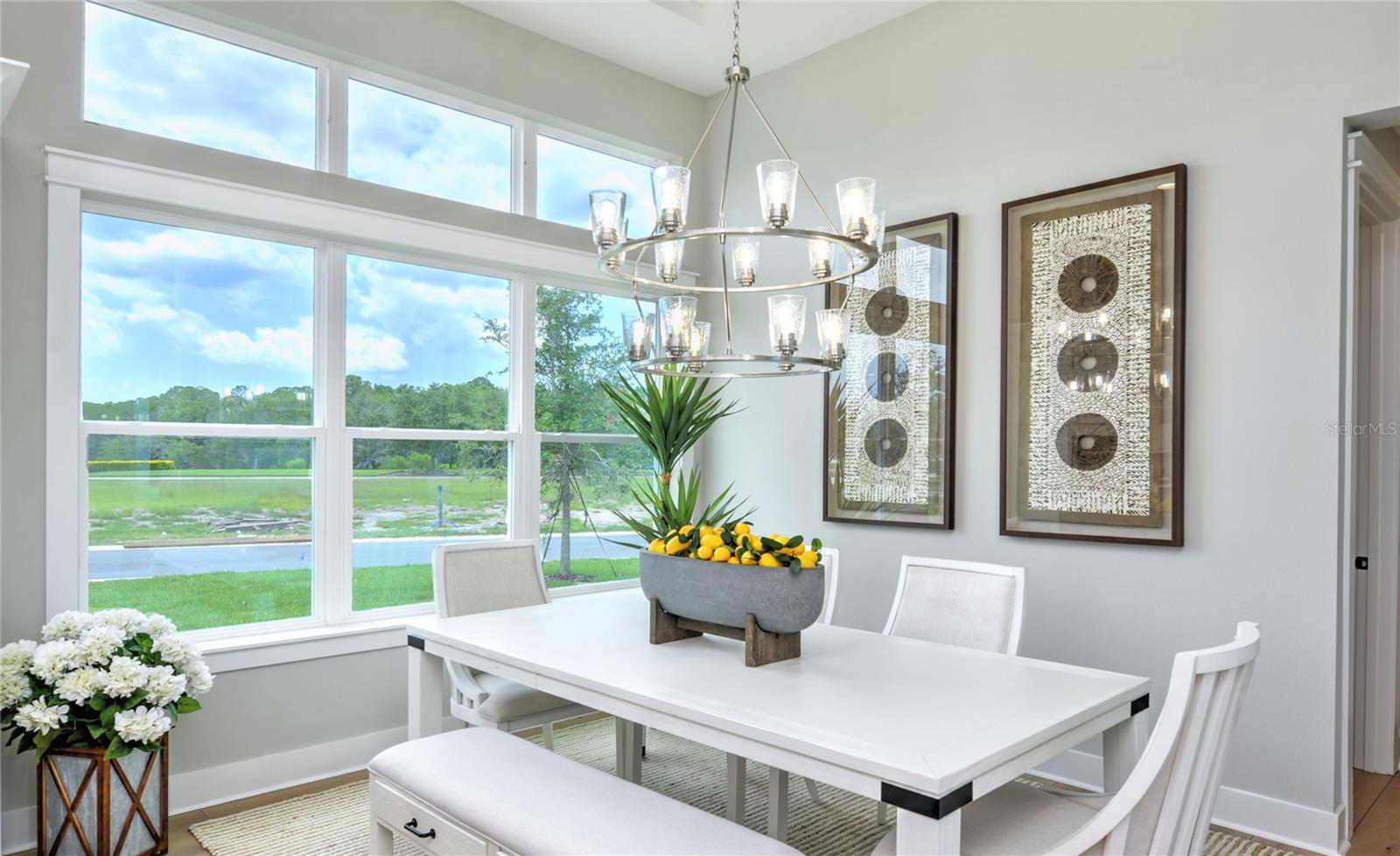 16884 FULL SUN ALY, LAND O LAKES, FL, 34638