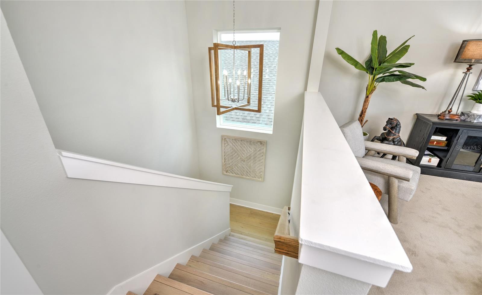 16884 FULL SUN ALY, LAND O LAKES, FL, 34638