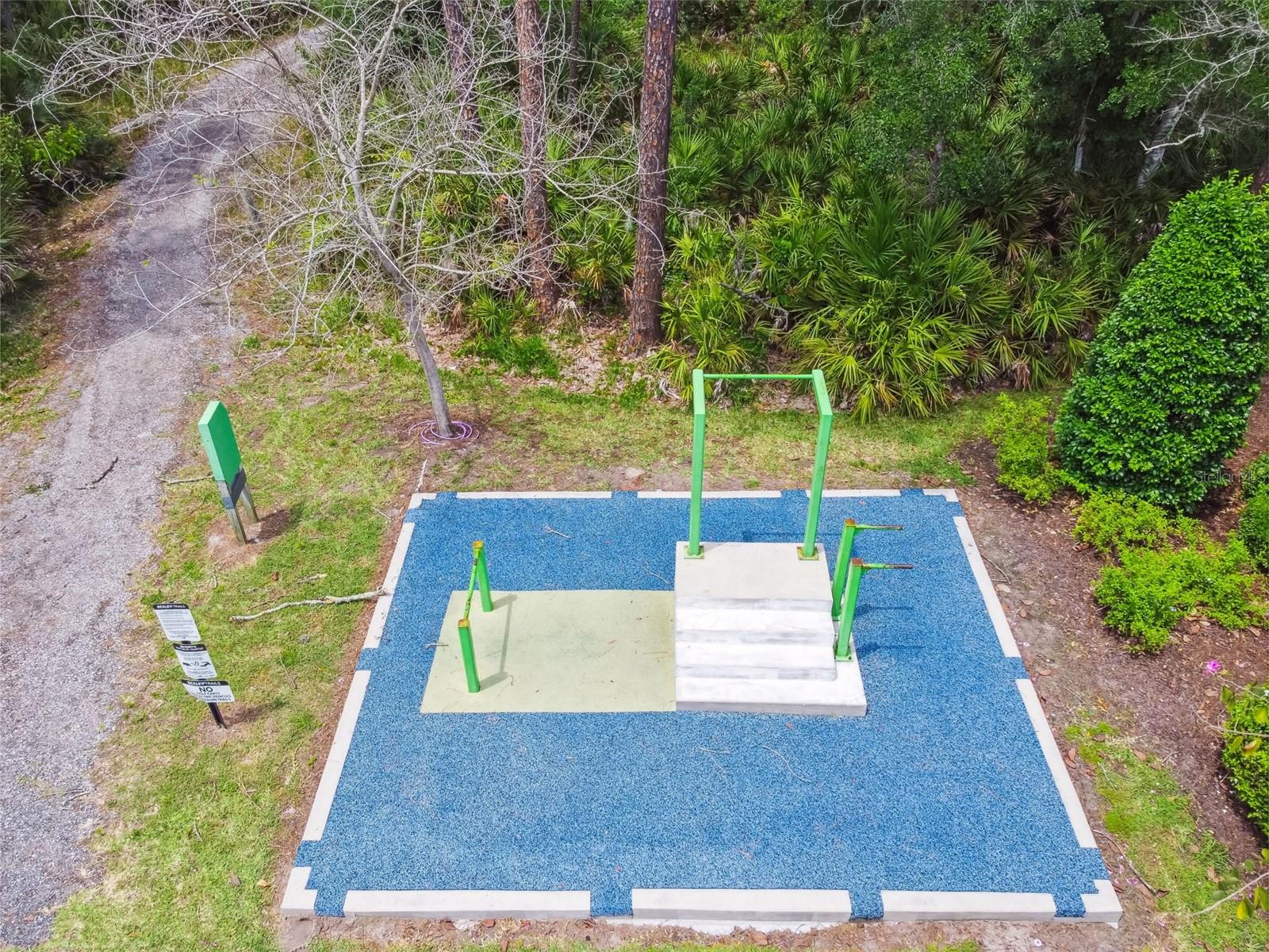16884 FULL SUN ALY, LAND O LAKES, FL, 34638