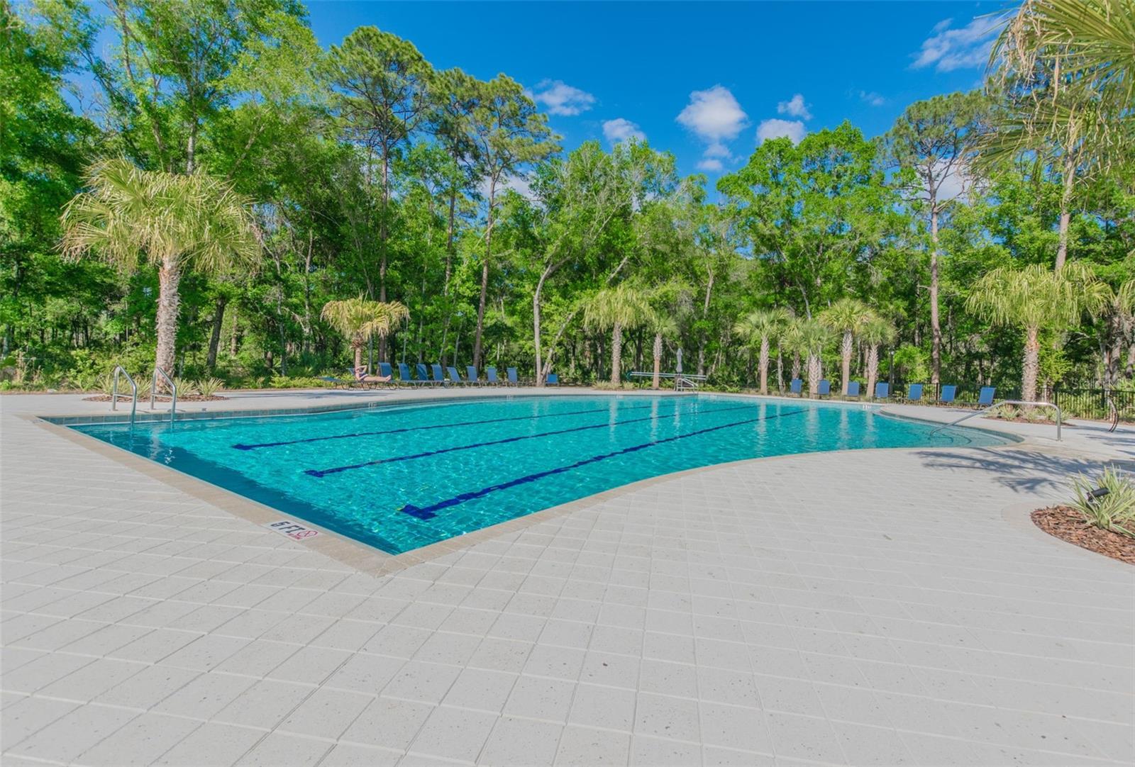 16884 FULL SUN ALY, LAND O LAKES, FL, 34638