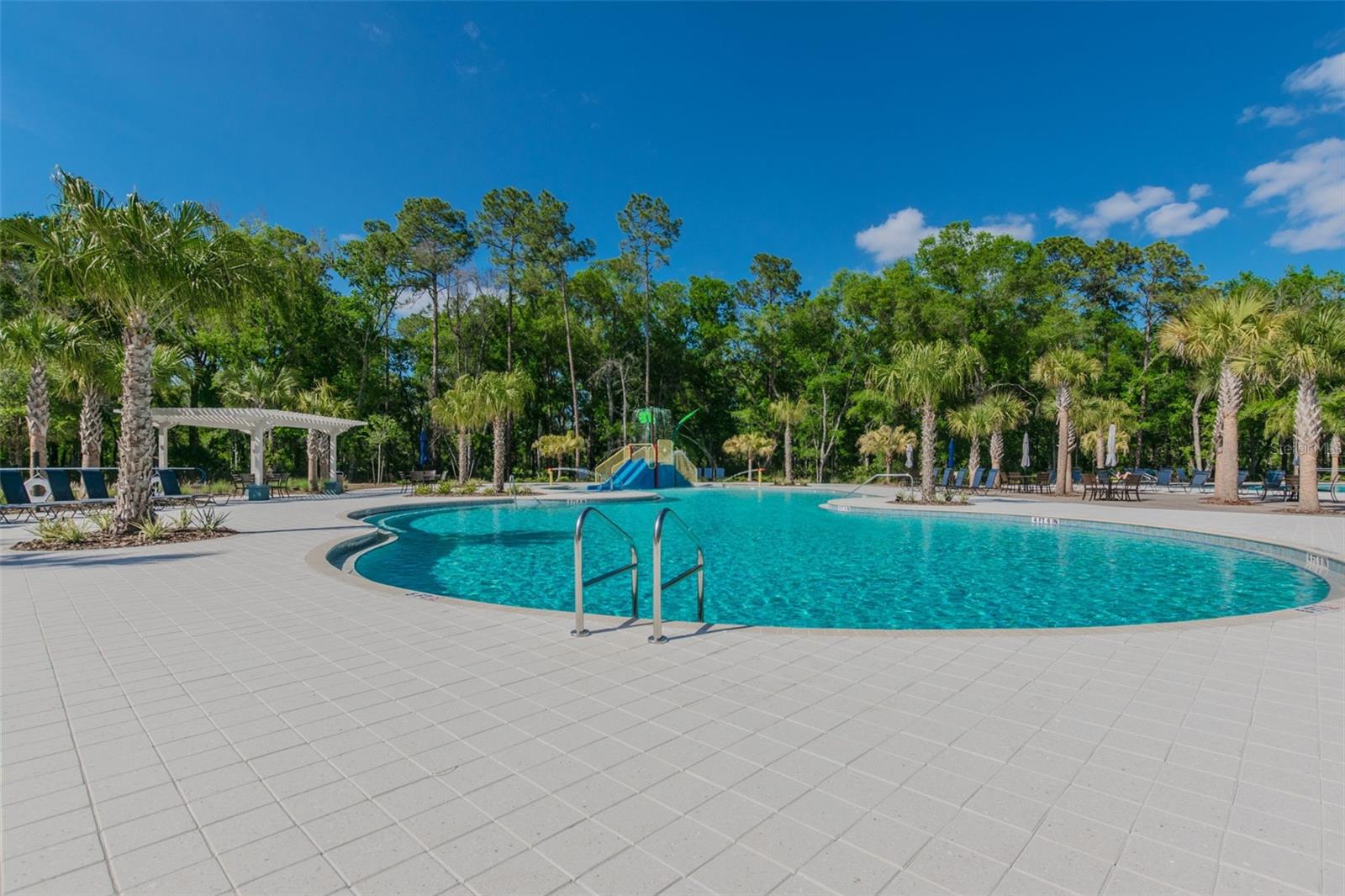 16884 FULL SUN ALY, LAND O LAKES, FL, 34638