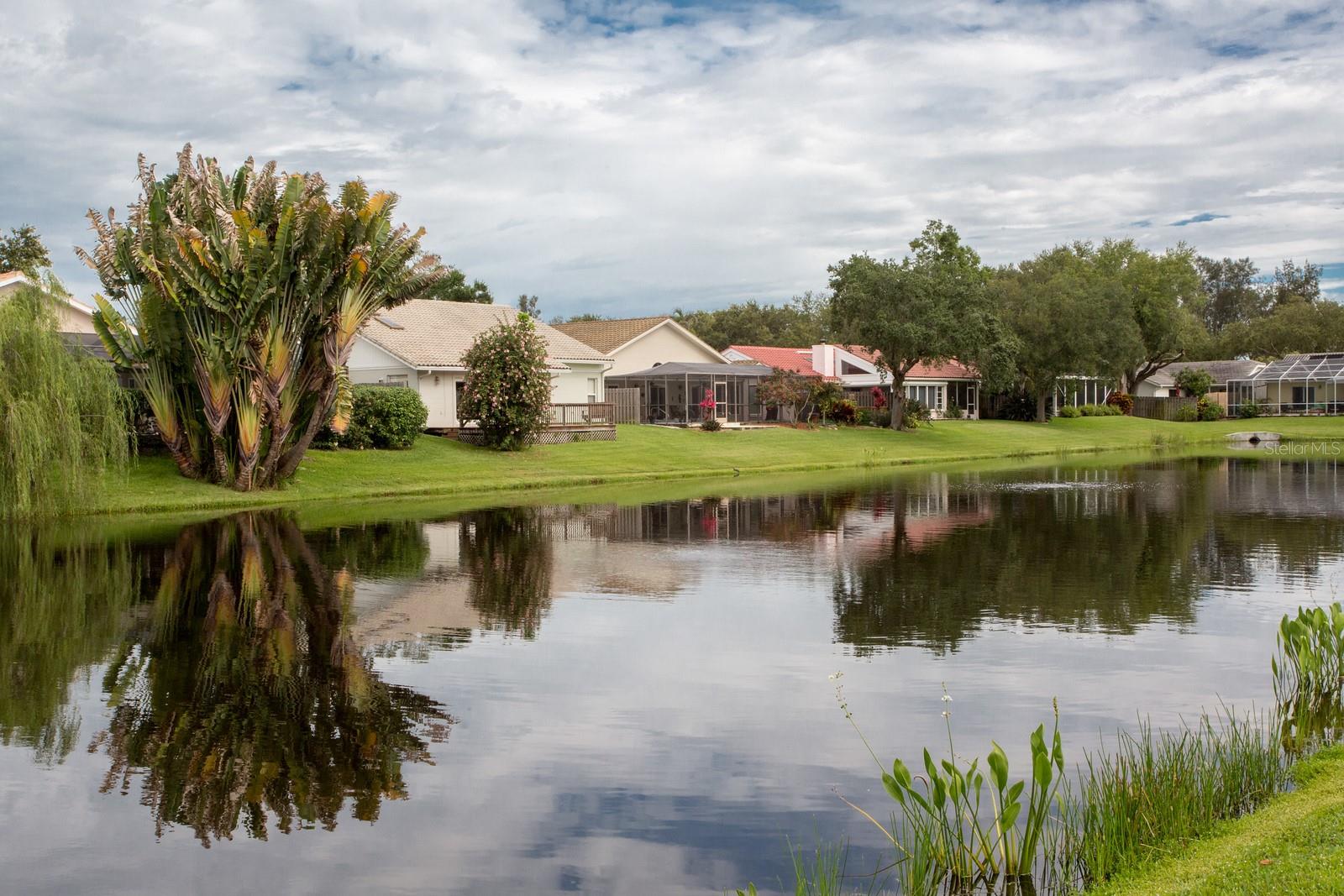 515 PADUA CIR NE, ST PETERSBURG, FL, 33703