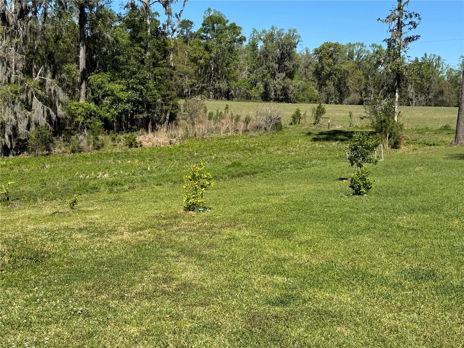 12719 NW 88TH PL, ALACHUA, FL, 32615