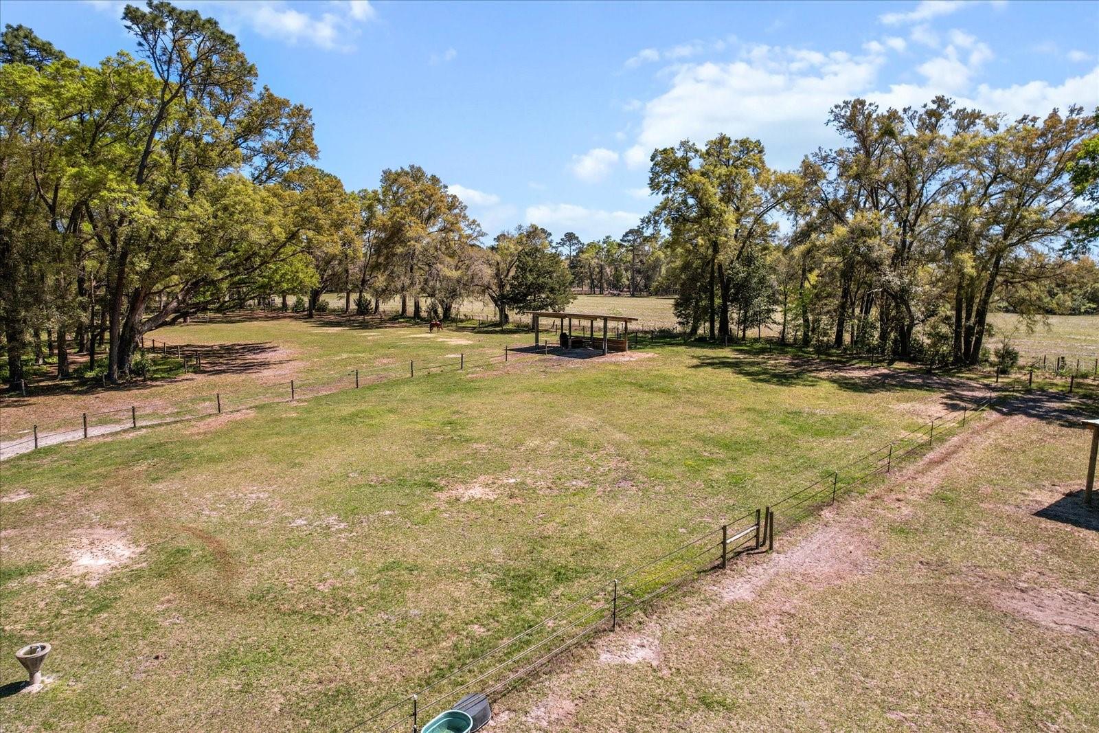 4551 NE 160TH AVE, WILLISTON, FL, 32696