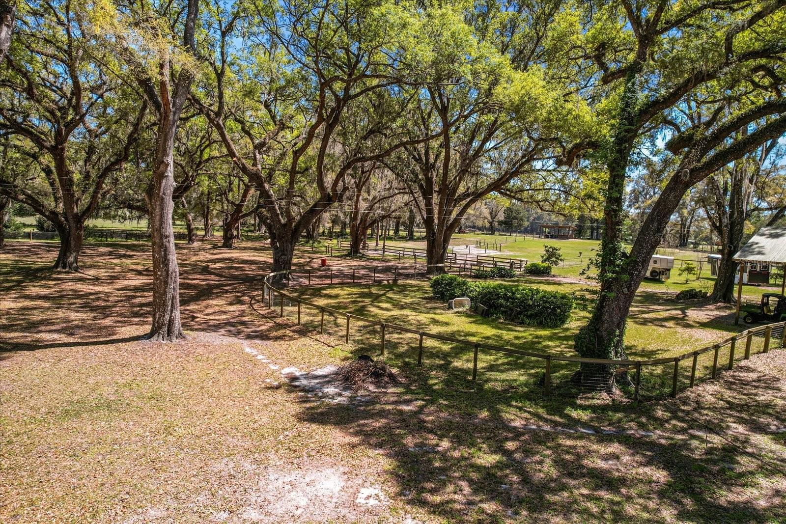4551 NE 160TH AVE, WILLISTON, FL, 32696