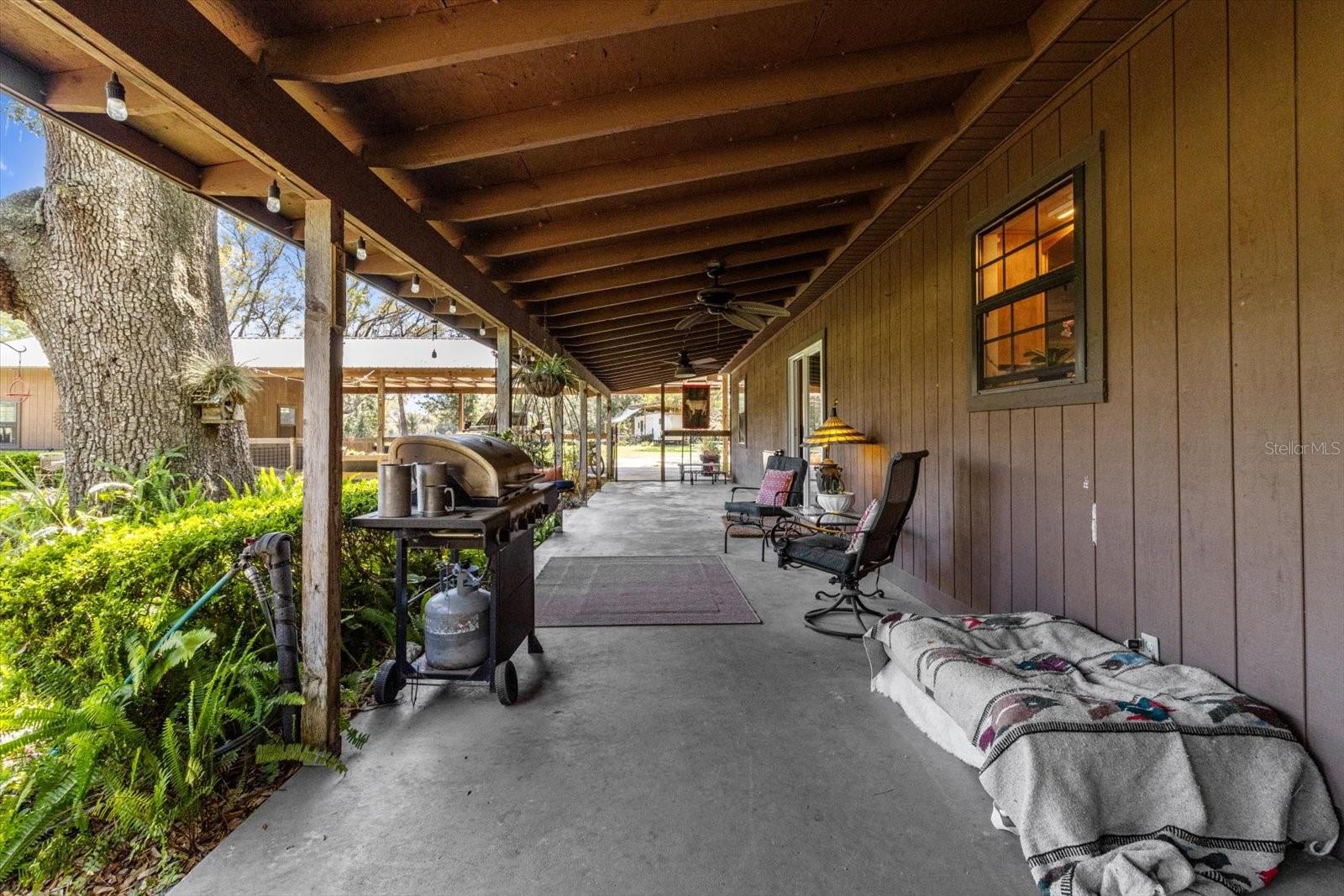 4551 NE 160TH AVE, WILLISTON, FL, 32696