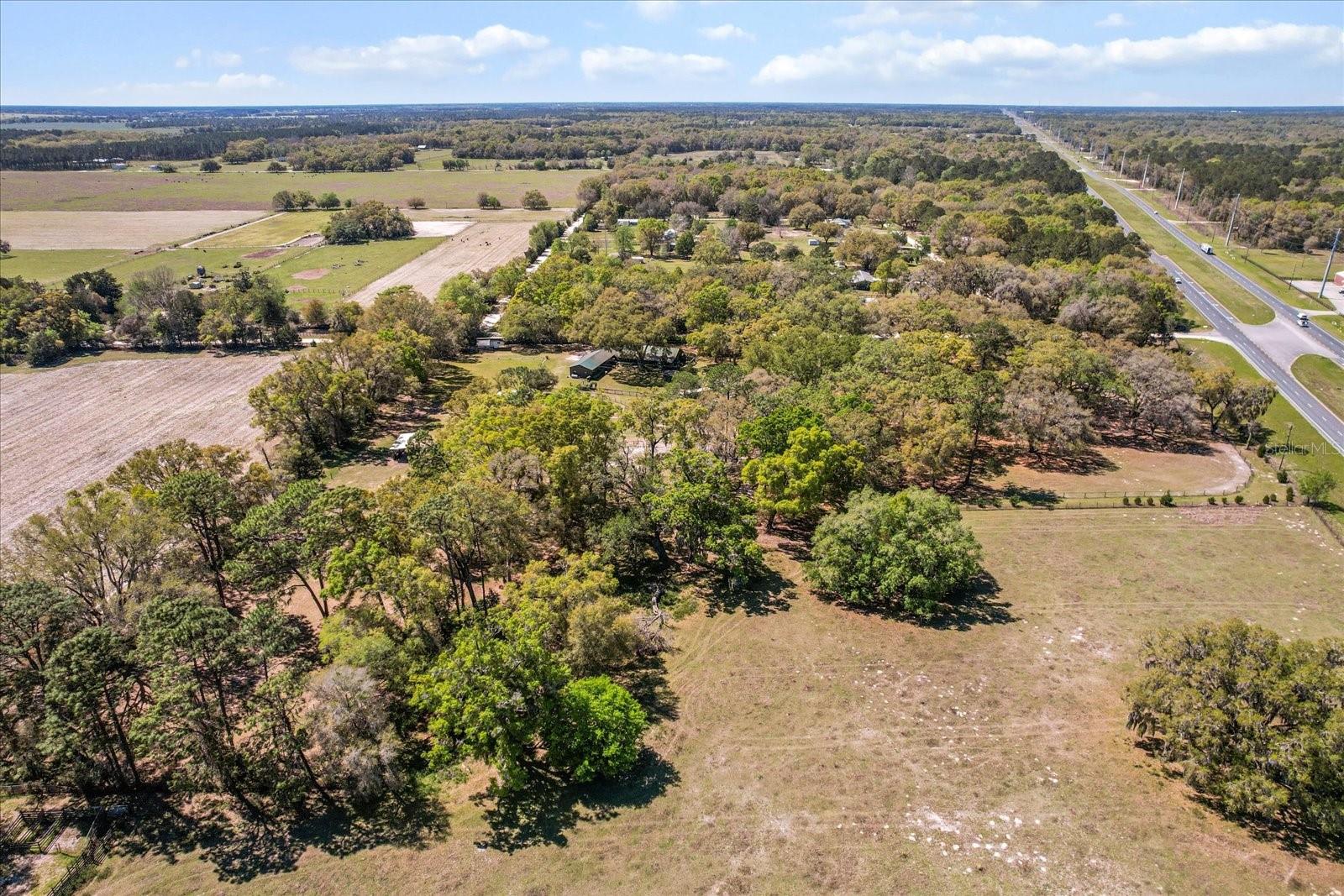 4551 NE 160TH AVE, WILLISTON, FL, 32696