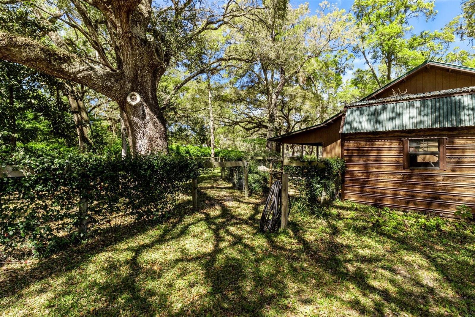 4551 NE 160TH AVE, WILLISTON, FL, 32696
