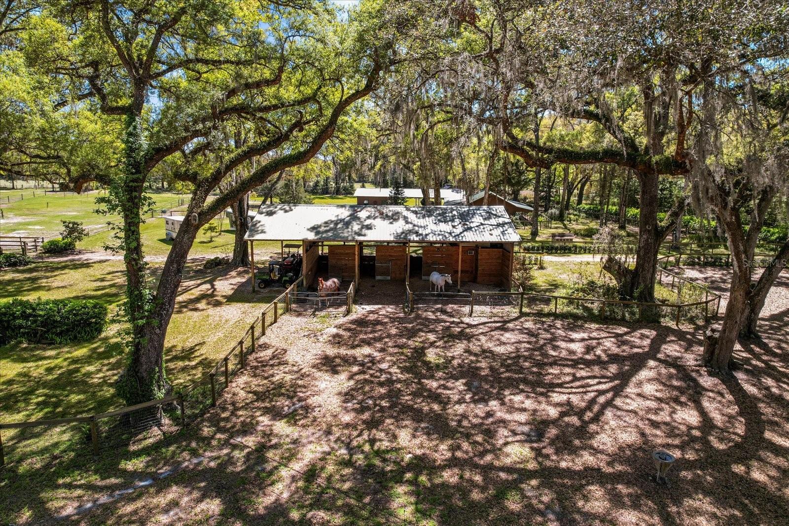4551 NE 160TH AVE, WILLISTON, FL, 32696