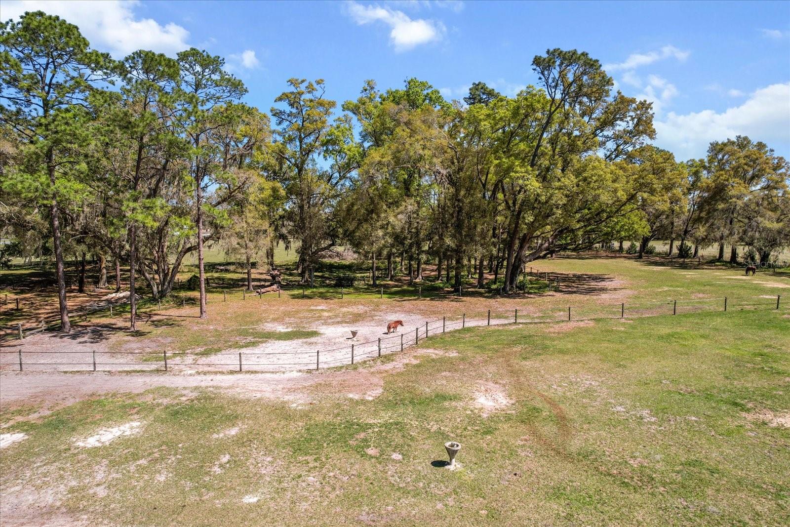 4551 NE 160TH AVE, WILLISTON, FL, 32696