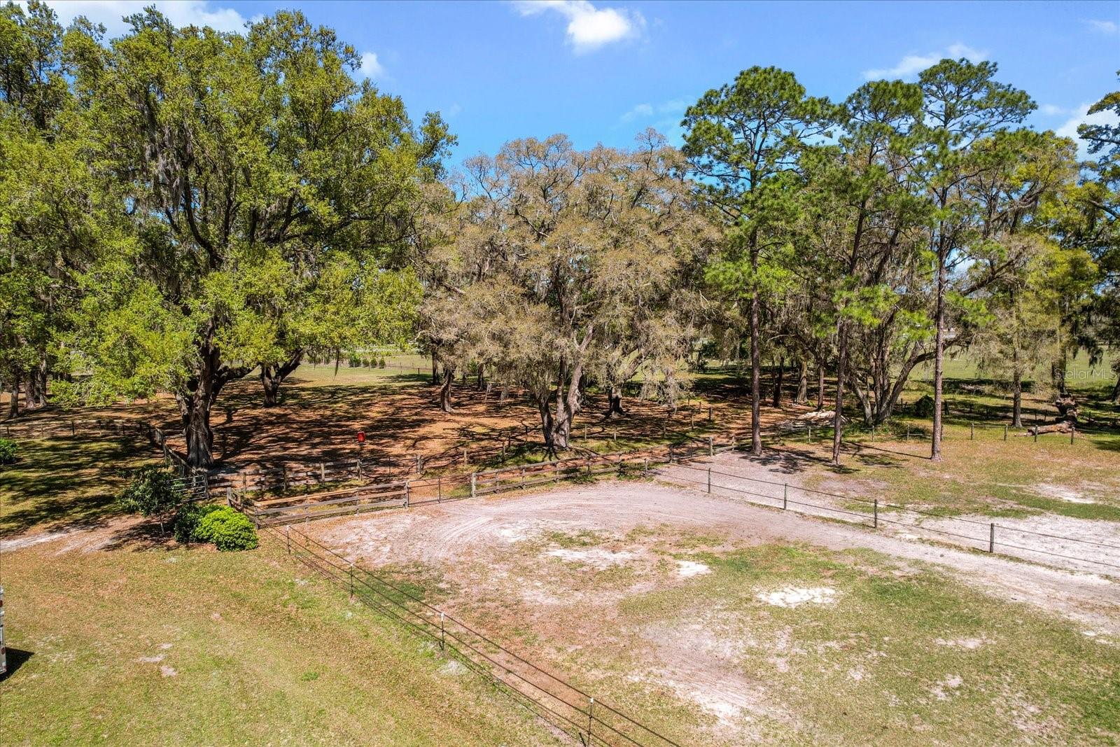 4551 NE 160TH AVE, WILLISTON, FL, 32696