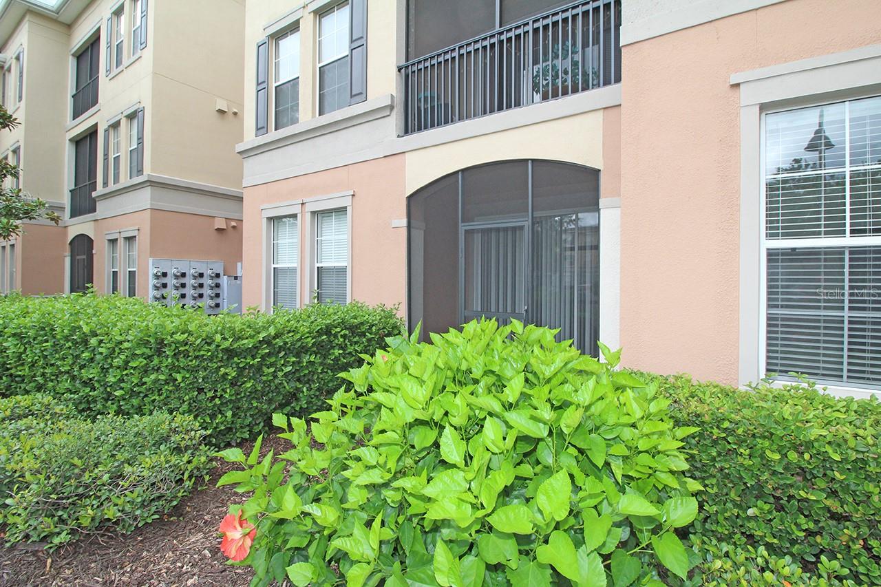 8168 BOAT HOOK LOOP #705, WINDERMERE, FL, 34786