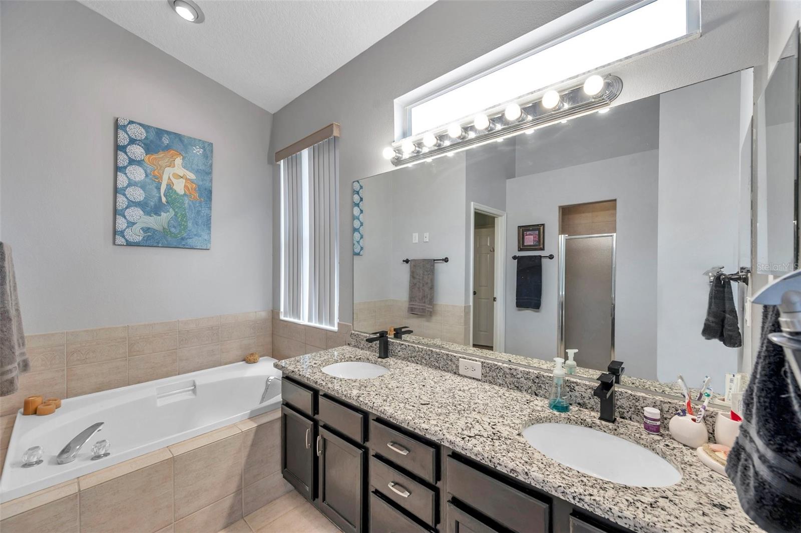 1783 WOOD BROOK ST, TARPON SPRINGS, FL, 34689