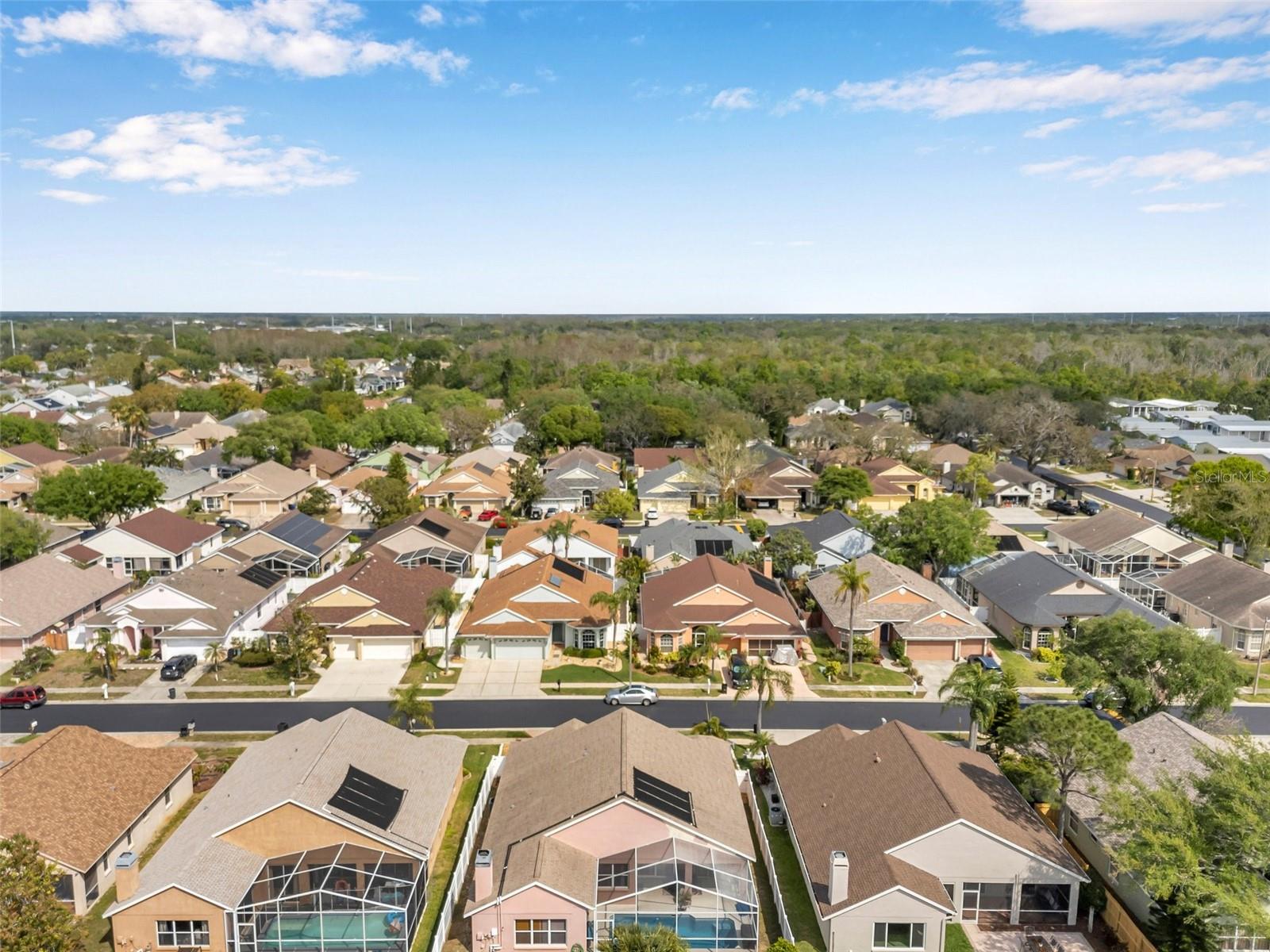 1783 WOOD BROOK ST, TARPON SPRINGS, FL, 34689