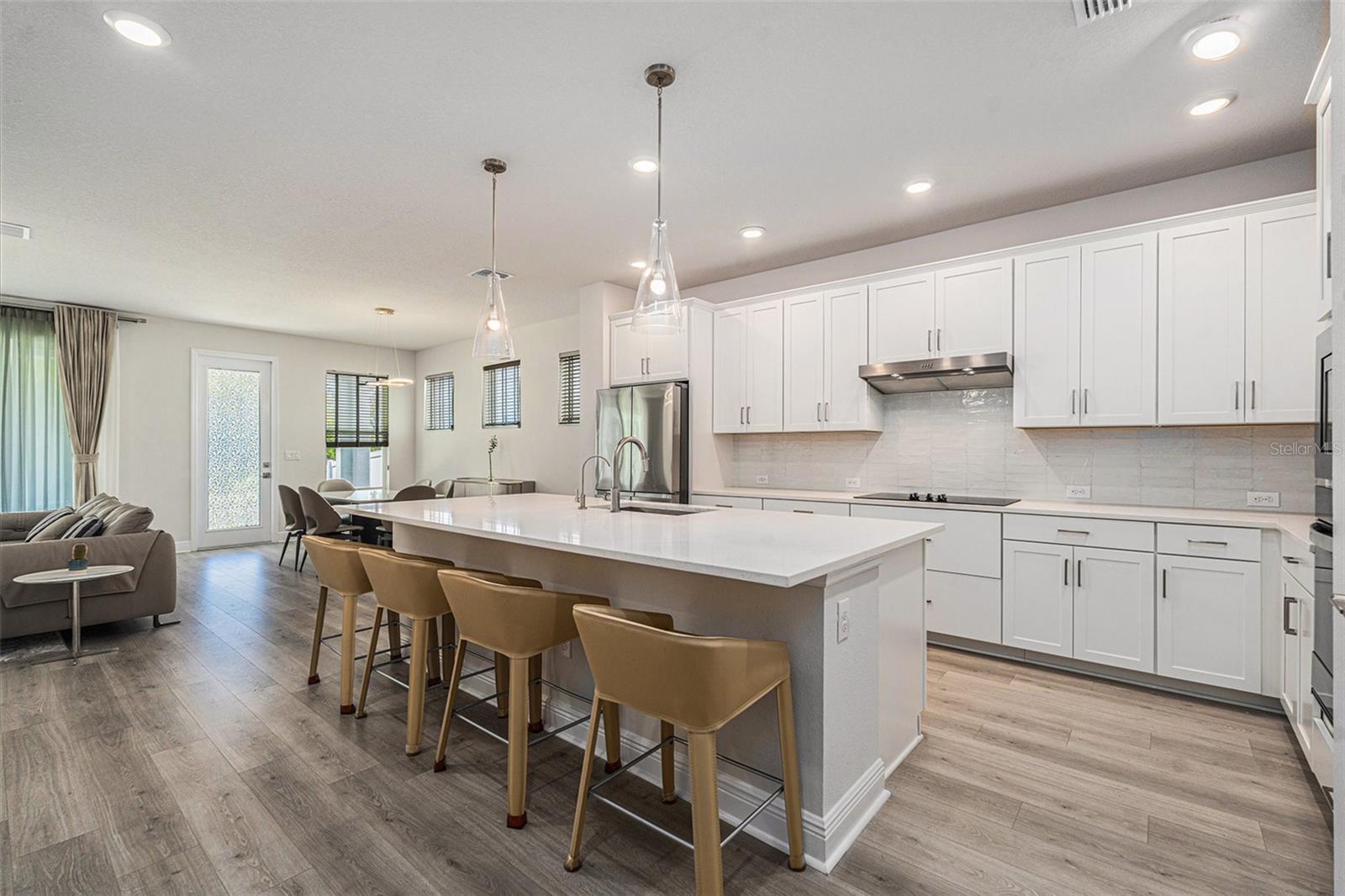 1439 GOPHER LOOP, TARPON SPRINGS, FL, 34689