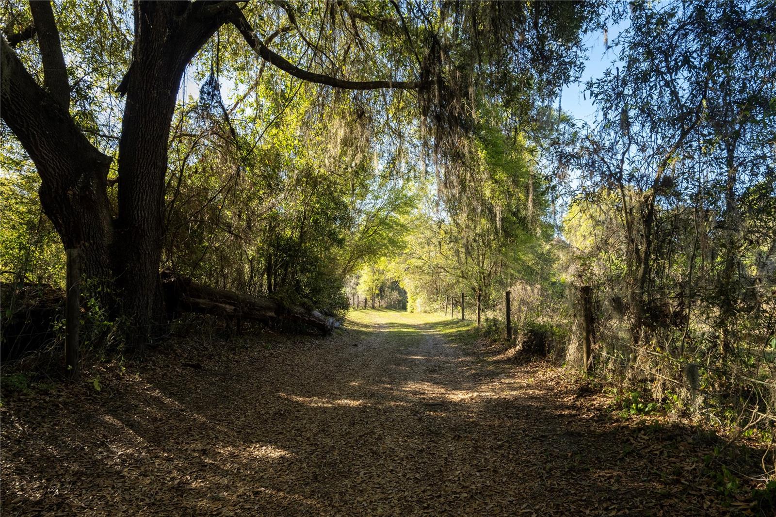 2570 SE HIGHWAY 42, SUMMERFIELD, FL, 34491