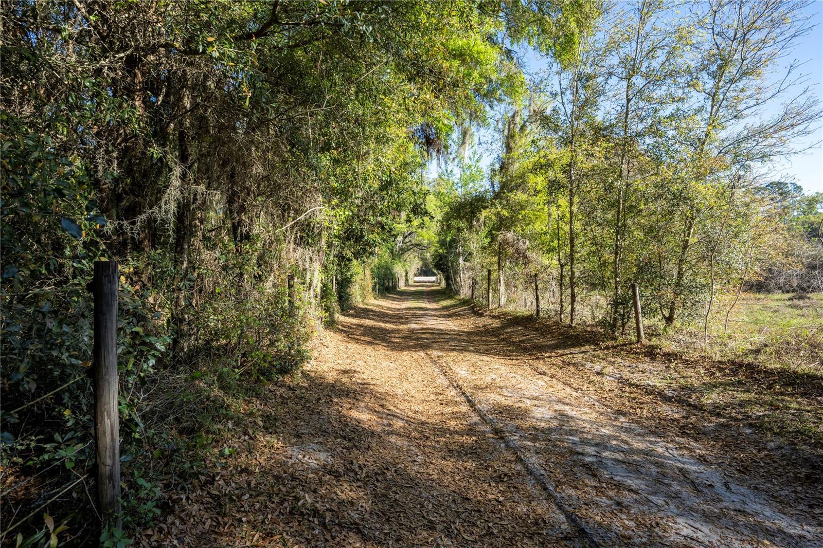 2570 SE HIGHWAY 42, SUMMERFIELD, FL, 34491