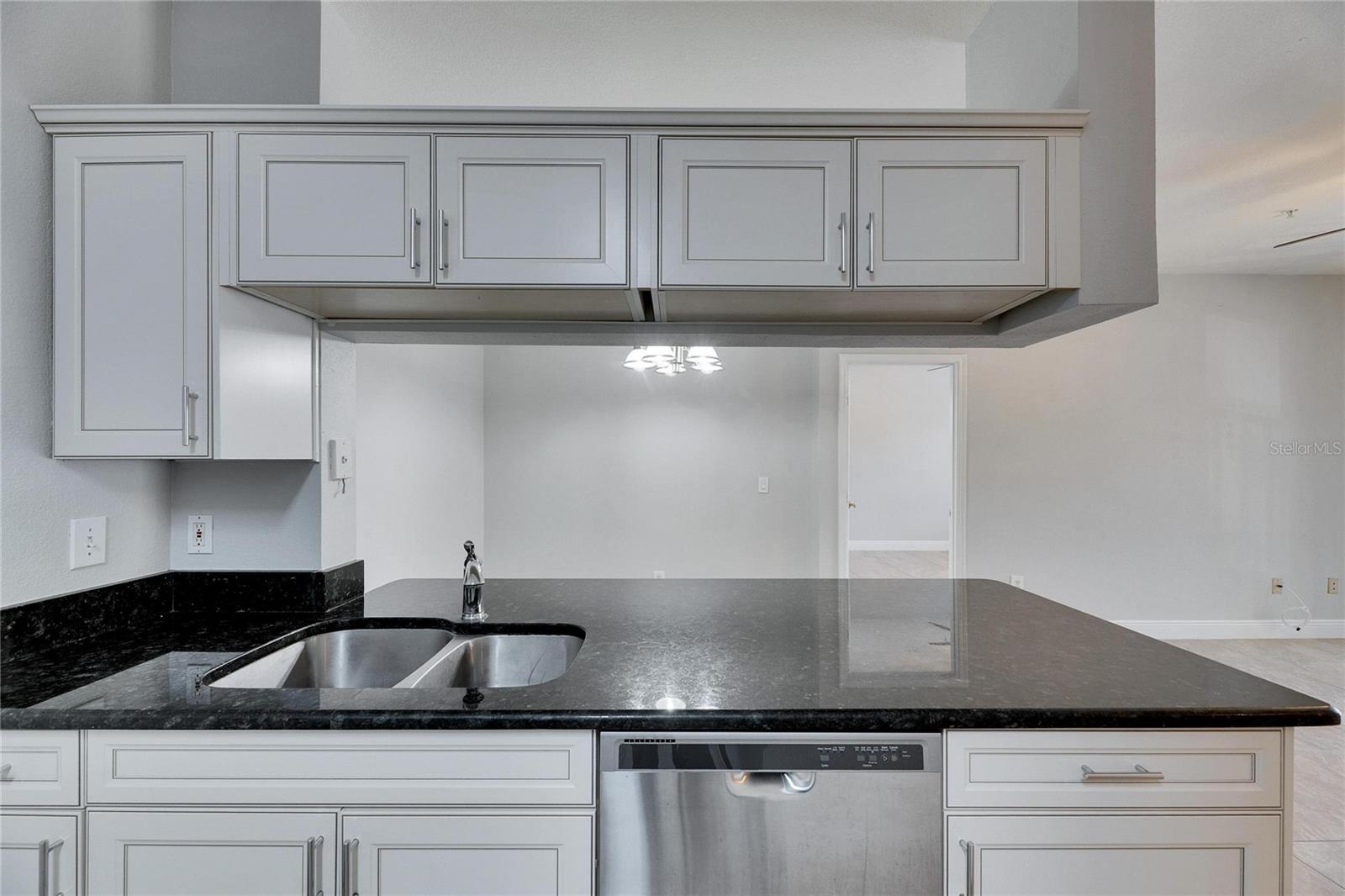 13016 SANCTUARY COVE DR #201, TEMPLE TERRACE, FL, 33637