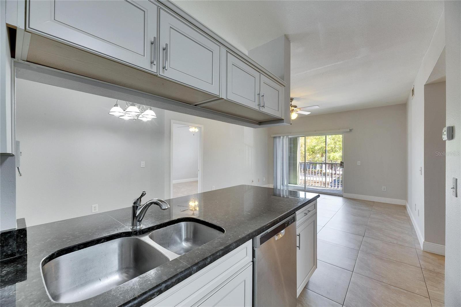 13016 SANCTUARY COVE DR #201, TEMPLE TERRACE, FL, 33637