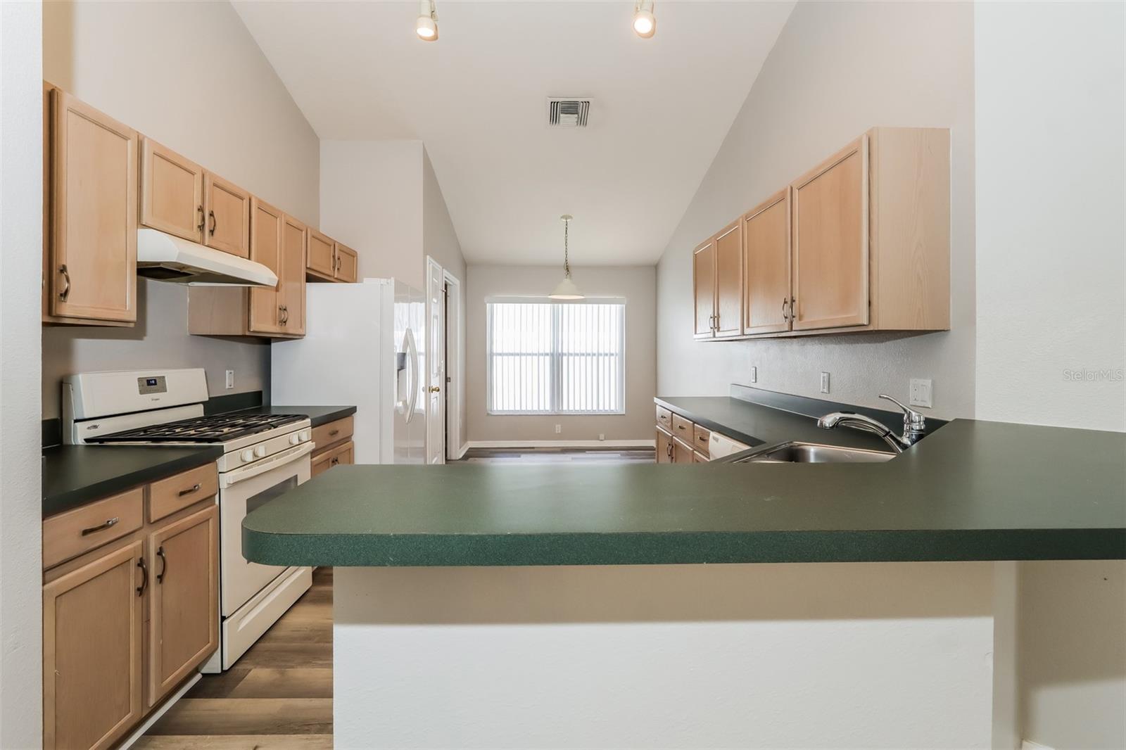 10126 SOMERSBY DR, RIVERVIEW, FL, 33578