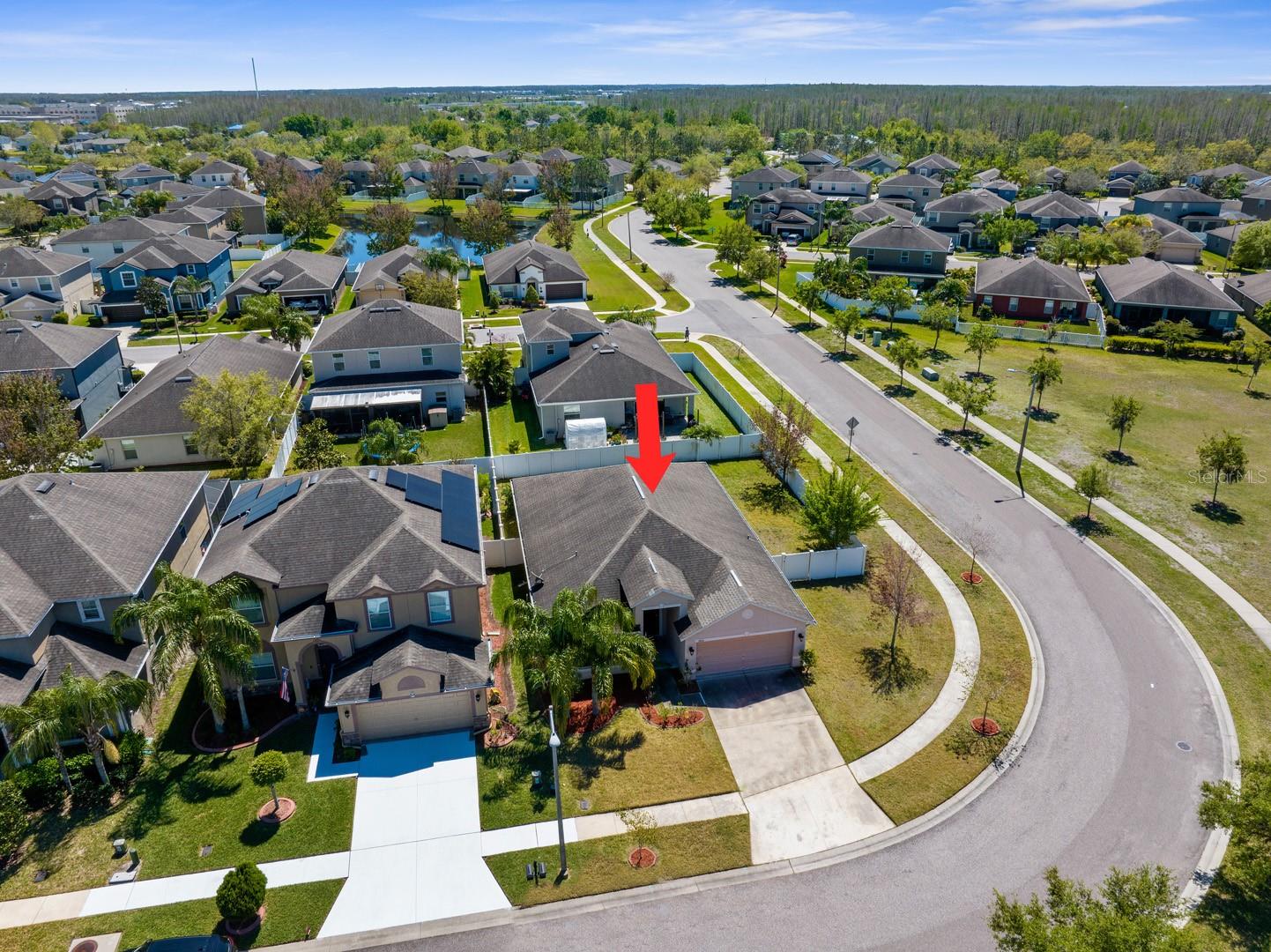 3600 TUCKERTON DR, LAND O LAKES, FL, 34638