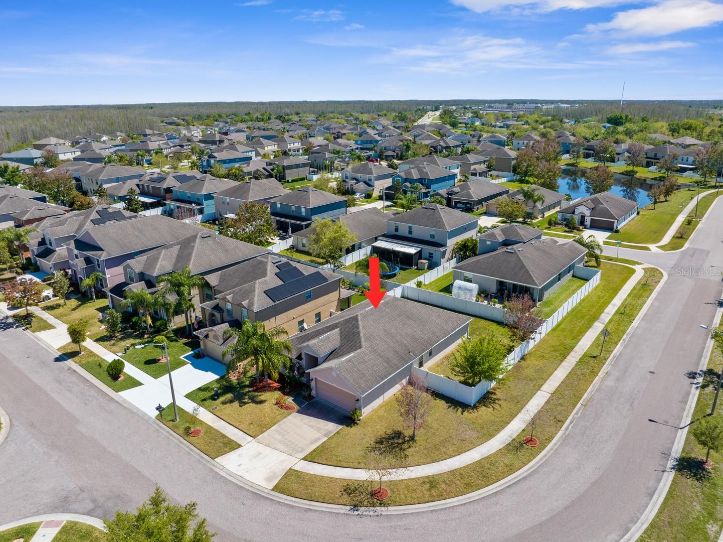 3600 TUCKERTON DR, LAND O LAKES, FL, 34638
