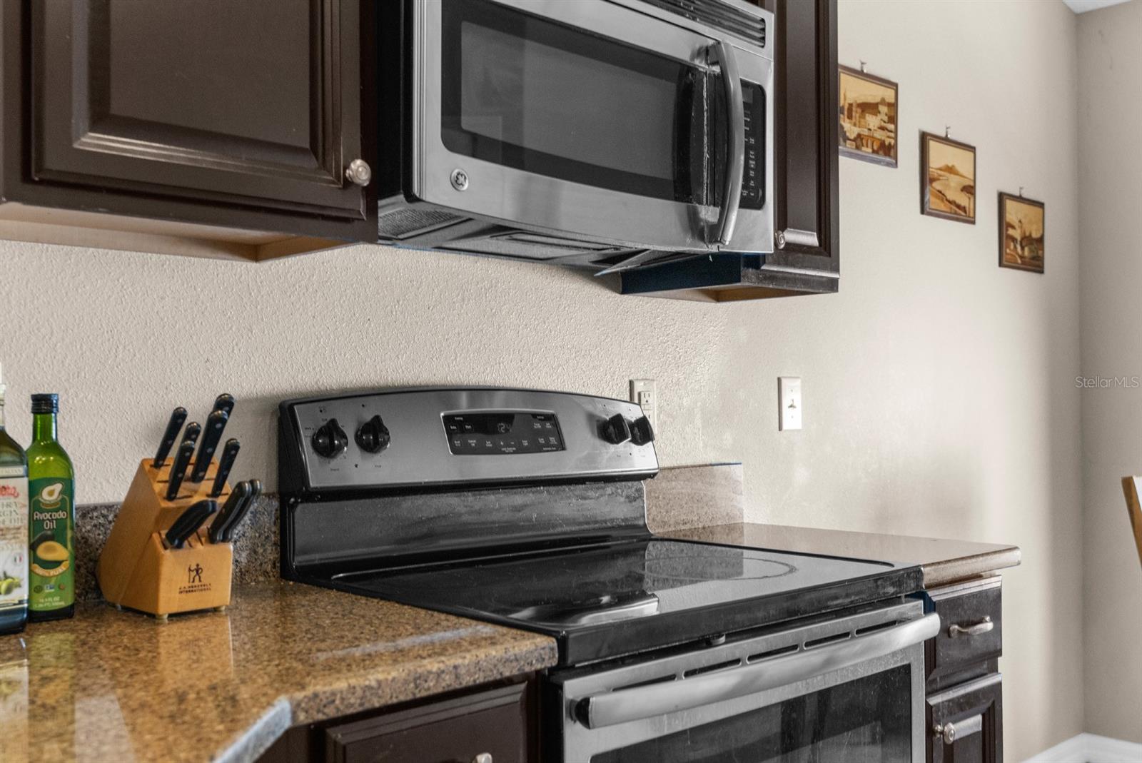3600 TUCKERTON DR, LAND O LAKES, FL, 34638
