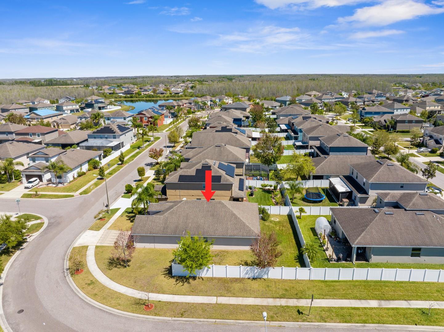 3600 TUCKERTON DR, LAND O LAKES, FL, 34638
