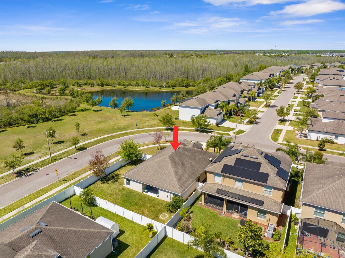 3600 TUCKERTON DR, LAND O LAKES, FL, 34638