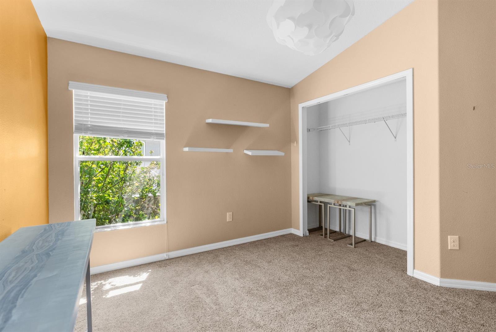 3600 TUCKERTON DR, LAND O LAKES, FL, 34638