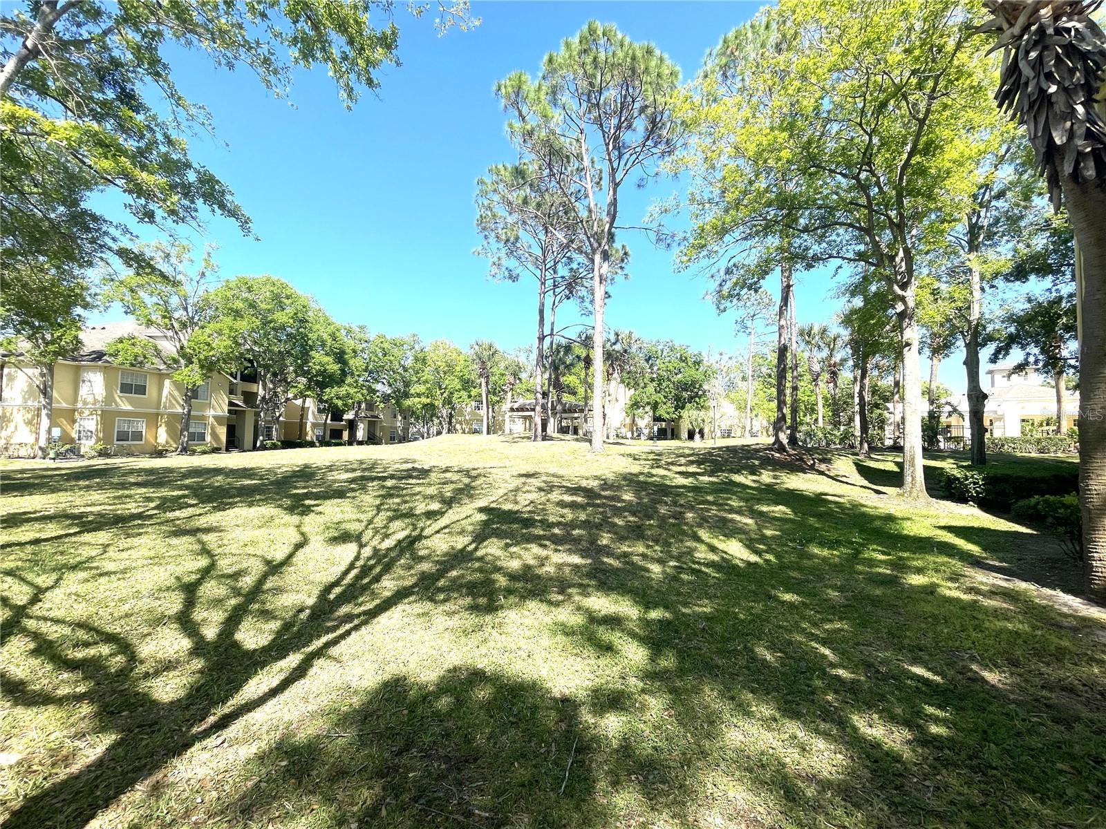 2612 ROBERT TRENT JONES DR #710, ORLANDO, FL, 32835