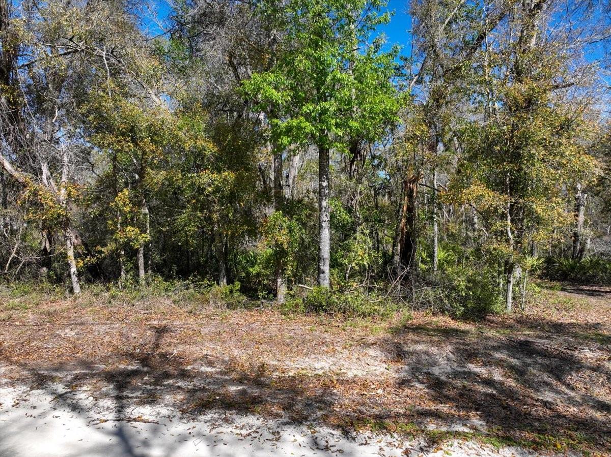 000 NE 875TH AVE, OLD TOWN, FL, 32680