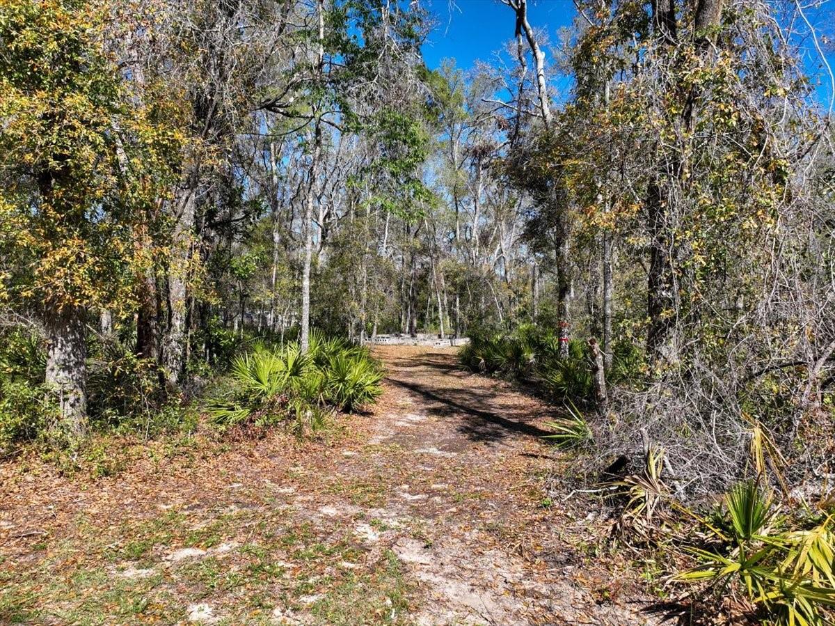 000 NE 875TH AVE, OLD TOWN, FL, 32680