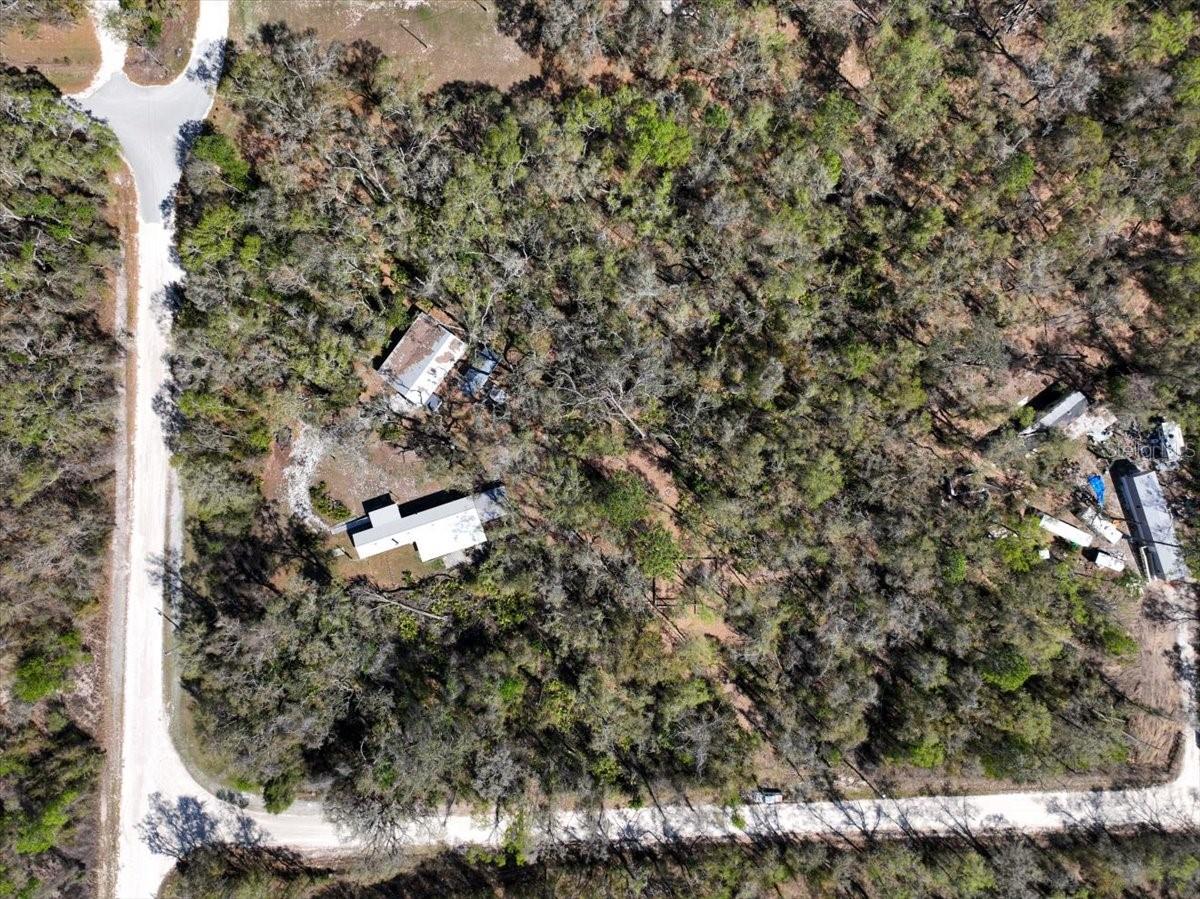 000 NE 875TH AVE, OLD TOWN, FL, 32680