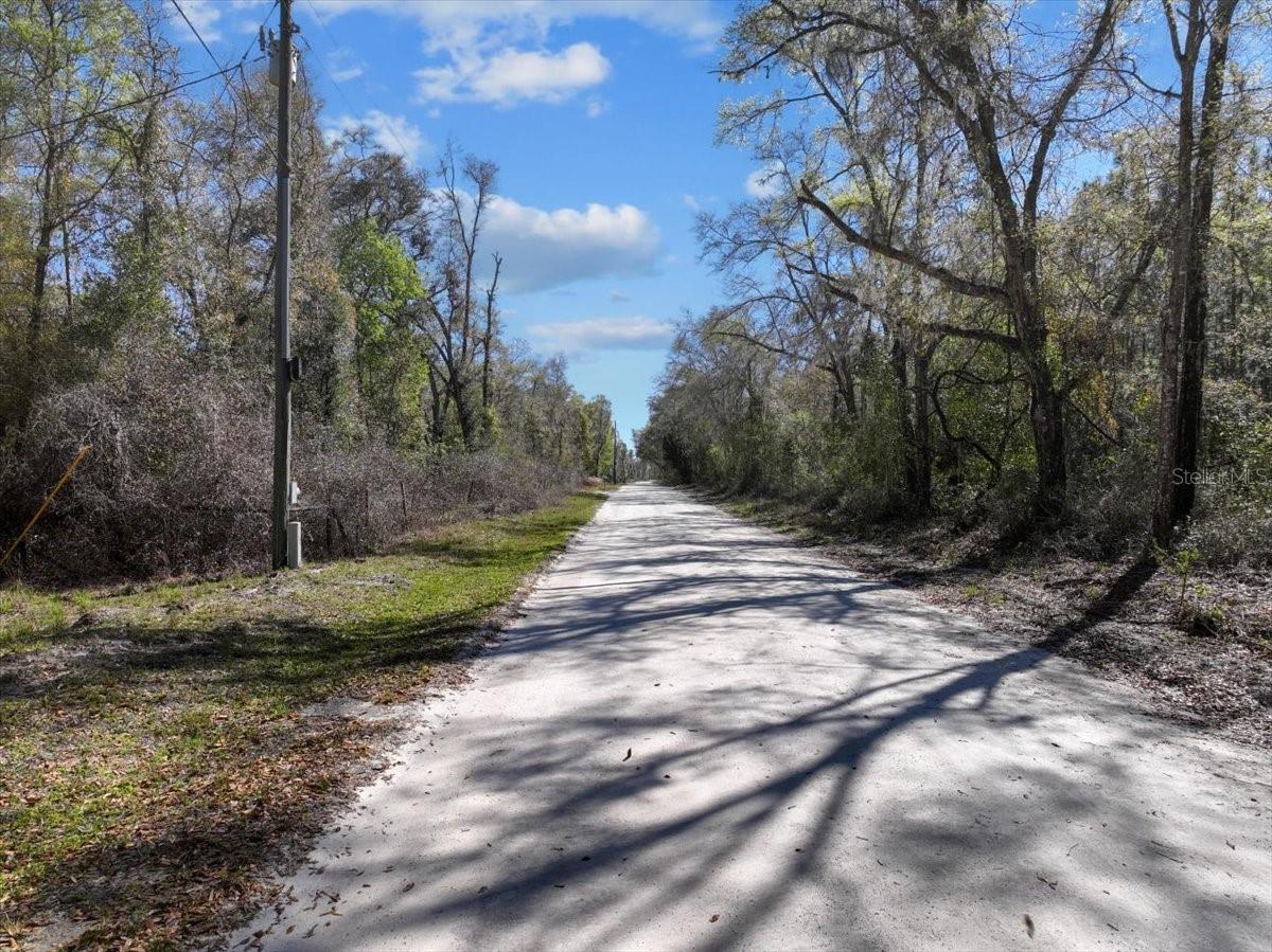 000 NE 875TH AVE, OLD TOWN, FL, 32680