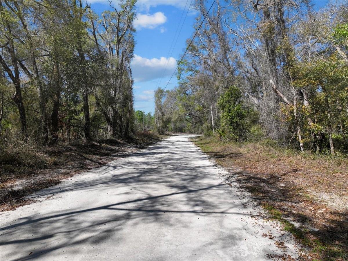 000 NE 875TH AVE, OLD TOWN, FL, 32680