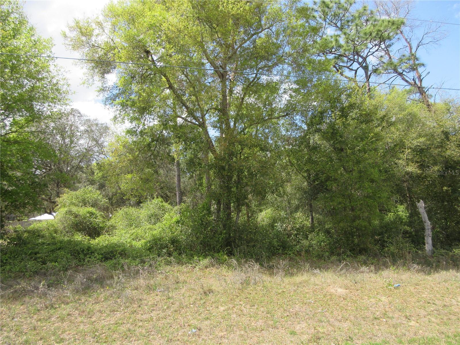 0 SE 180 AVE RD, OCKLAWAHA, FL, 32179