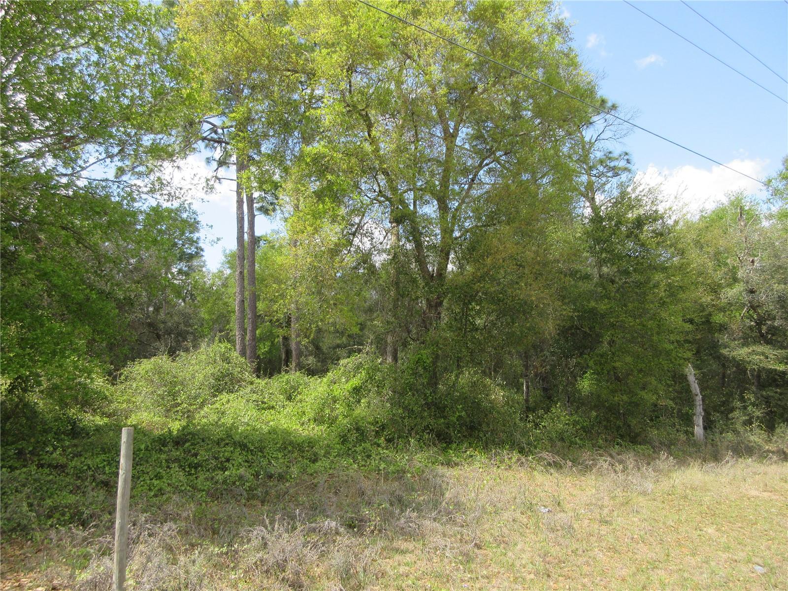 0 SE 180 AVE RD, OCKLAWAHA, FL, 32179