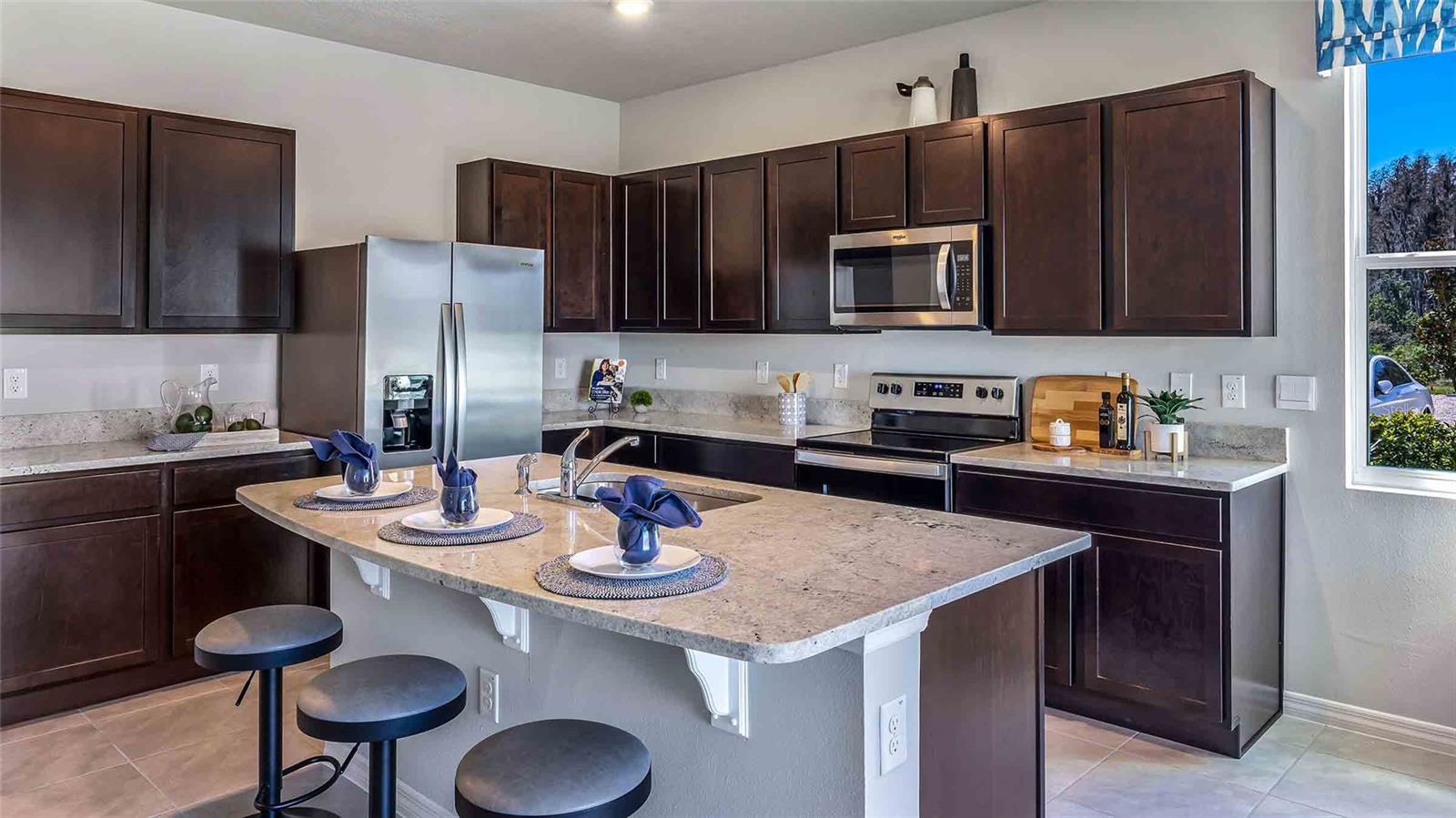 17256 BIGLEAF MAHOGANY LN, LAND O LAKES, FL, 34638