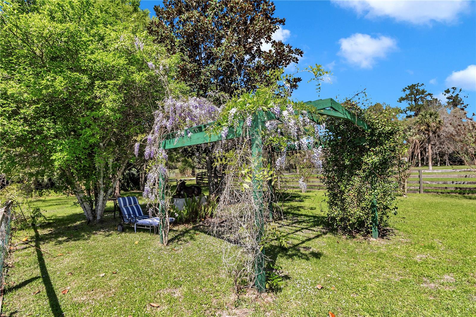 12490 NW HIGHWAY 320, MICANOPY, FL, 32667