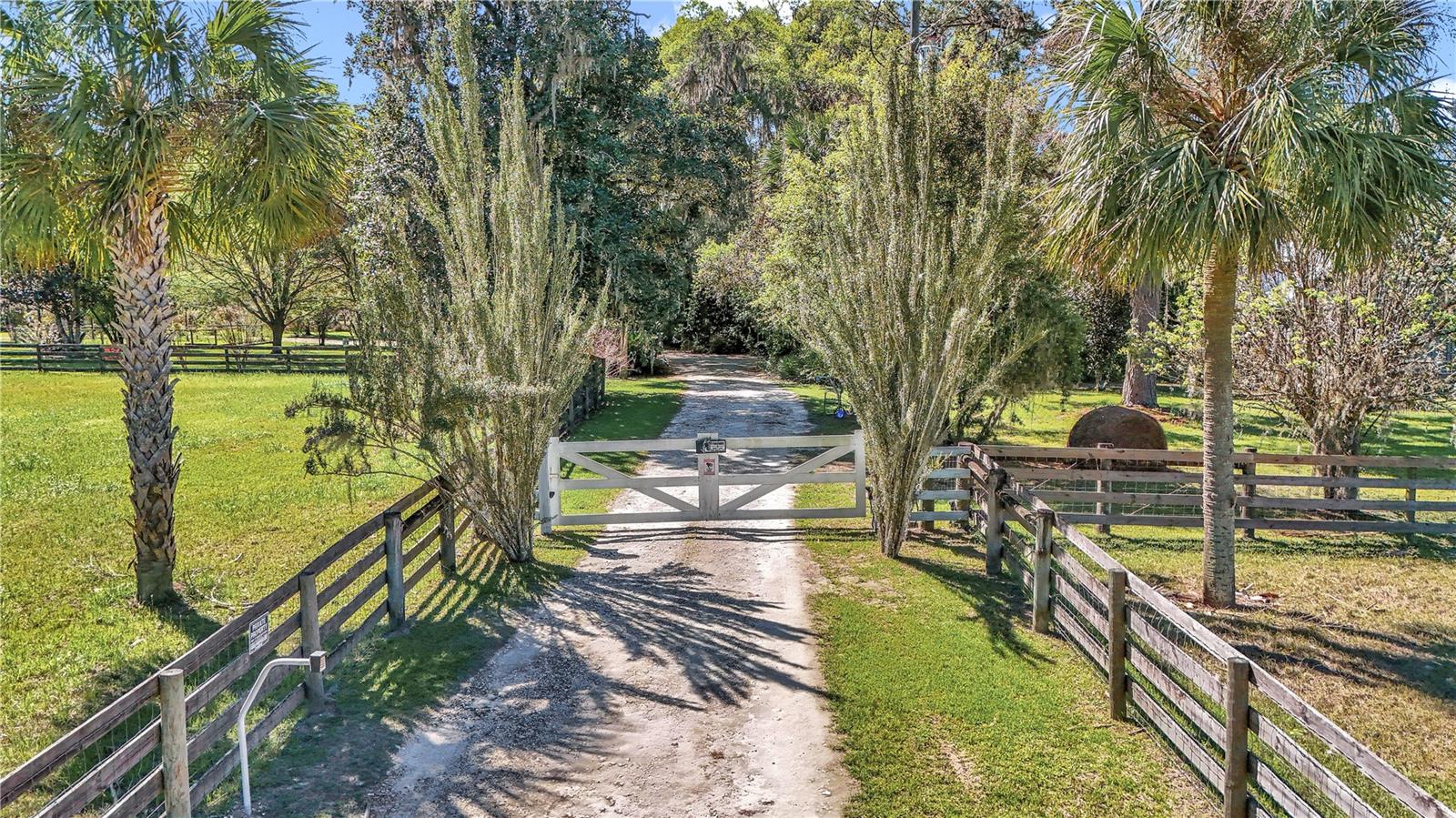12490 NW HIGHWAY 320, MICANOPY, FL, 32667