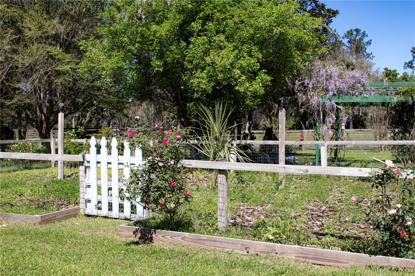 12490 NW HIGHWAY 320, MICANOPY, FL, 32667