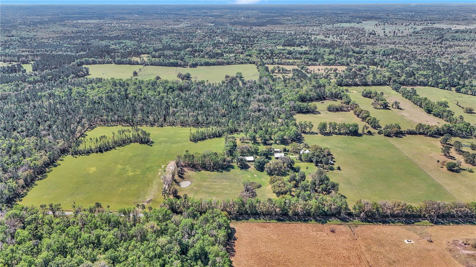 12490 NW HIGHWAY 320, MICANOPY, FL, 32667