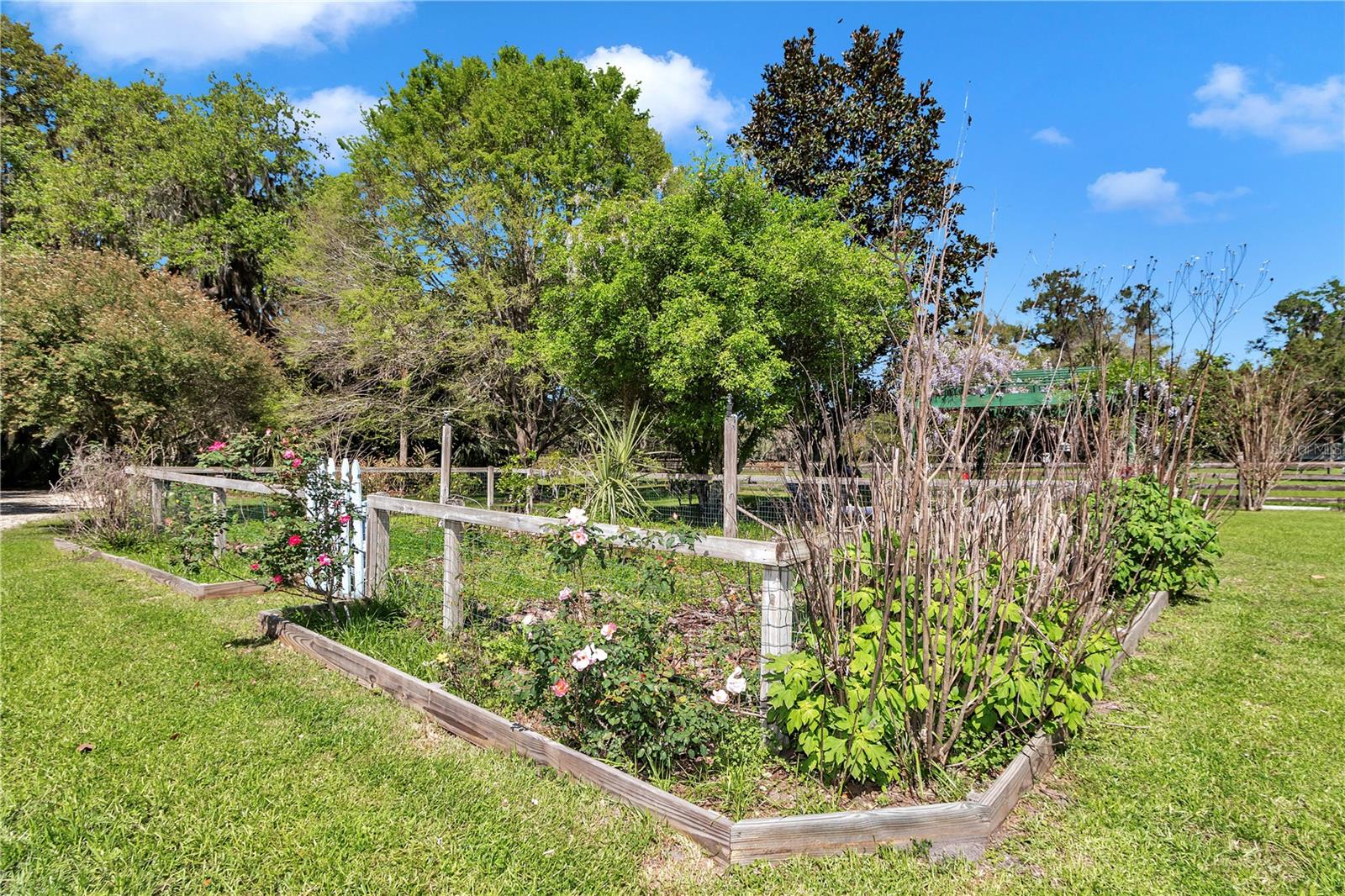 12490 NW HIGHWAY 320, MICANOPY, FL, 32667
