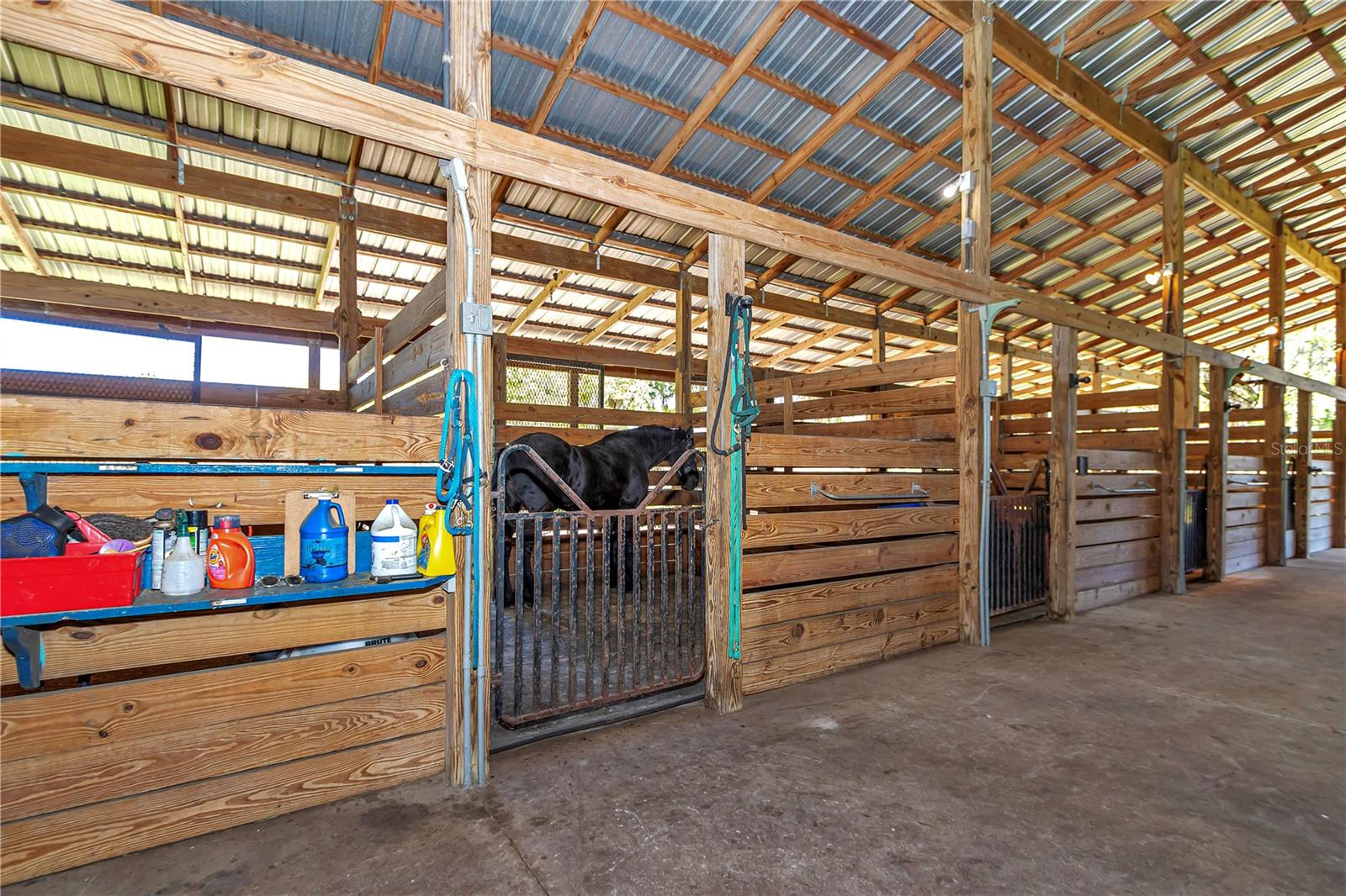 12490 NW HIGHWAY 320, MICANOPY, FL, 32667