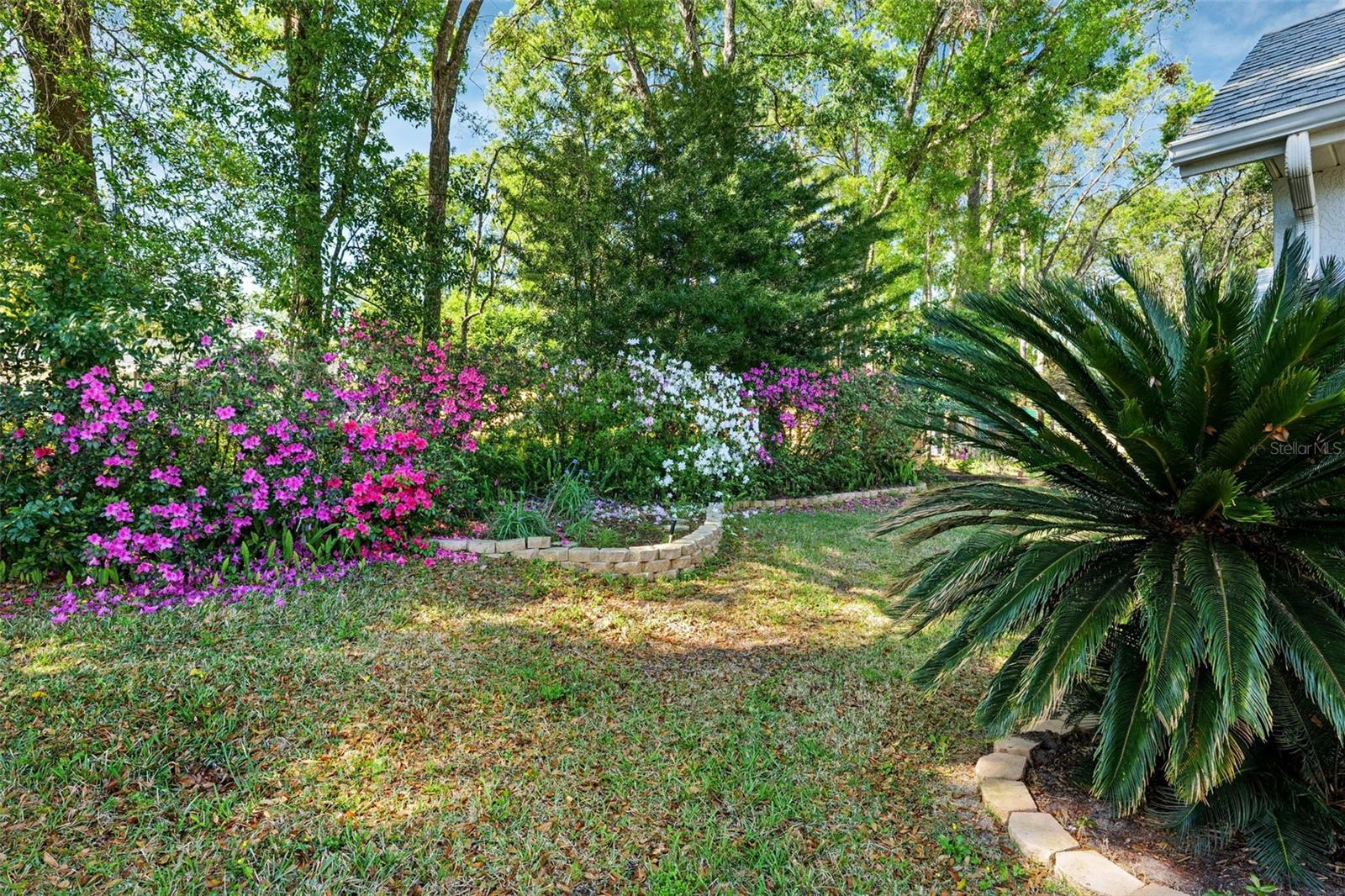 3575 S BELGRAVE DR, INVERNESS, FL, 34452