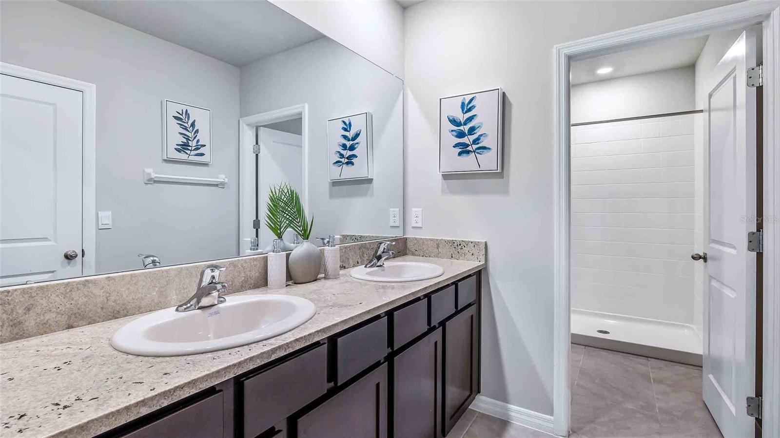 17288 BIGLEAF MAHOGANY LN, LAND O LAKES, FL, 34638