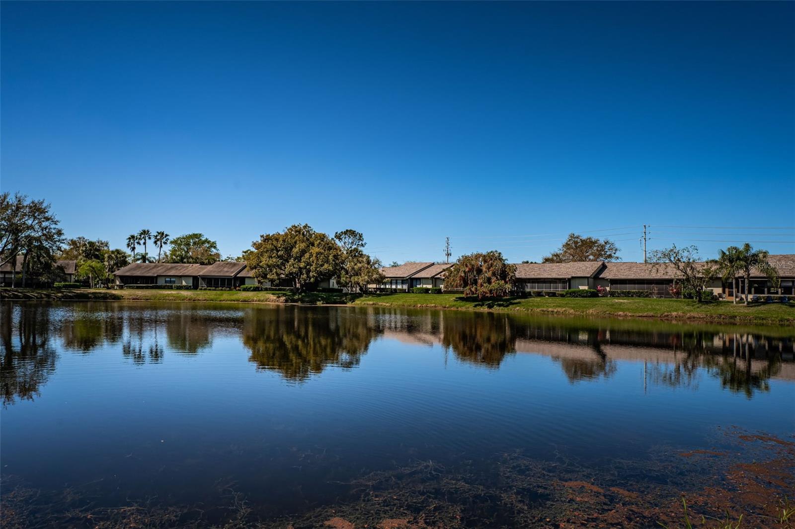 575 HICKORYNUT AVE, OLDSMAR, FL, 34677