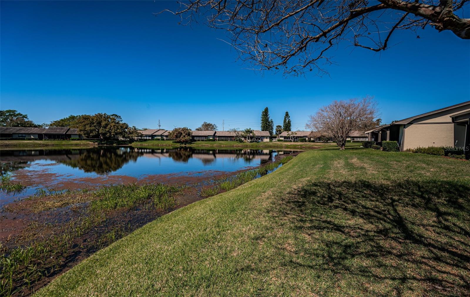 575 HICKORYNUT AVE, OLDSMAR, FL, 34677